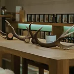 Maximilian's 5* 奥格斯堡